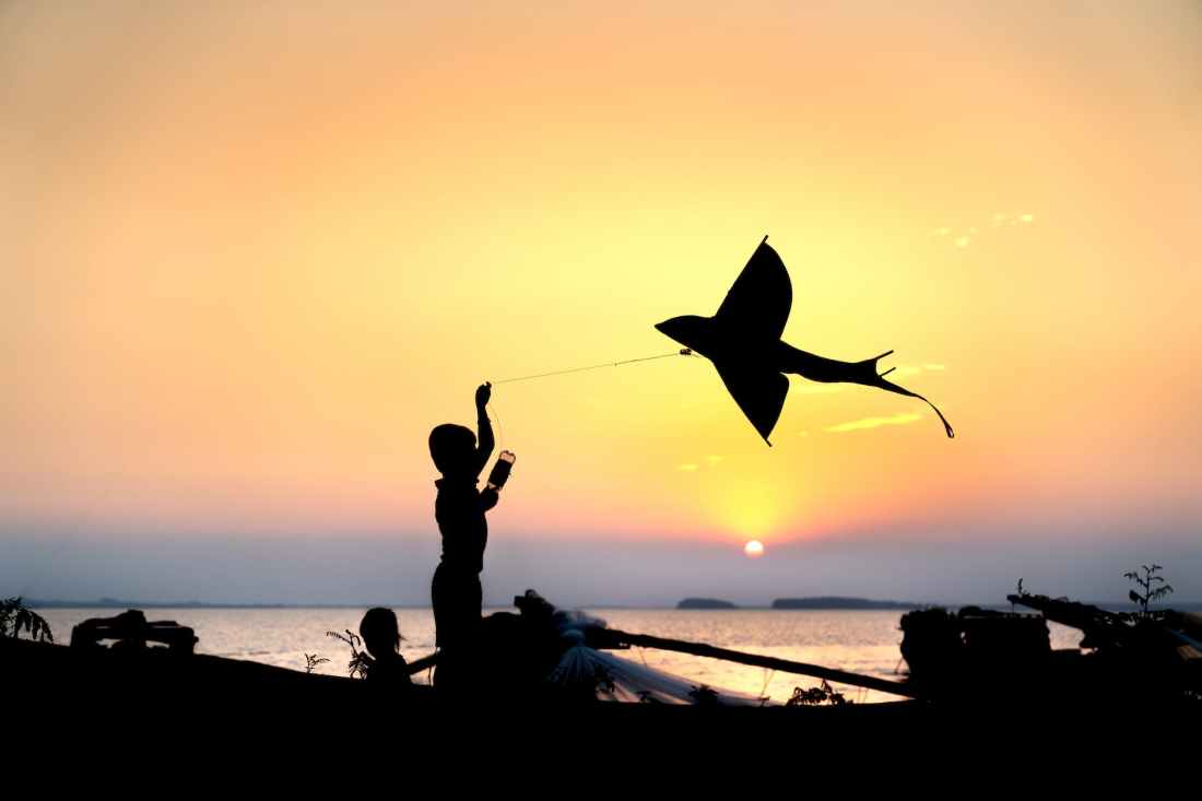 silhouette of boy with kite on shore